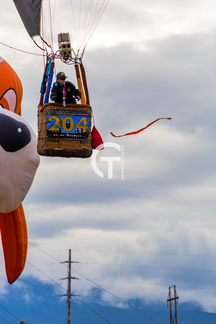 "2022 Balloon Fiesta #135" stock image