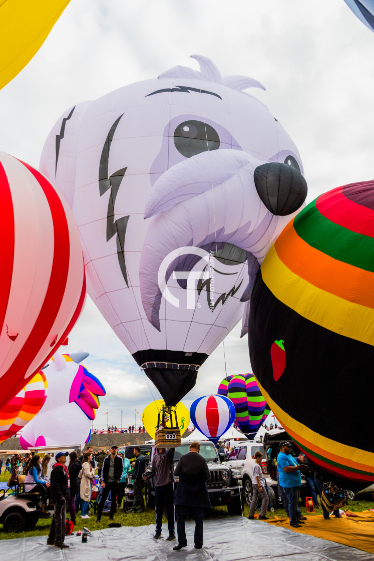 "2022 Balloon Fiesta #136" stock image