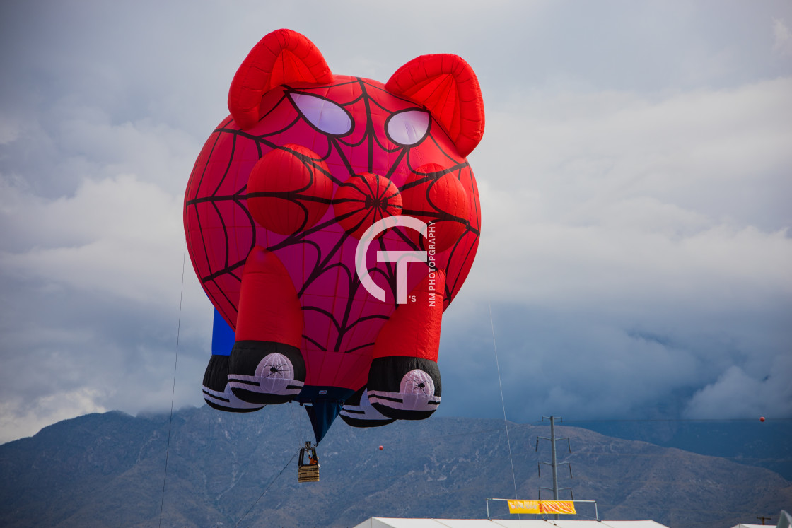 "2022 Balloon Fiesta #143" stock image