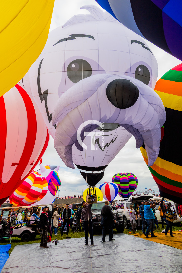 "2022 Balloon Fiesta #142" stock image