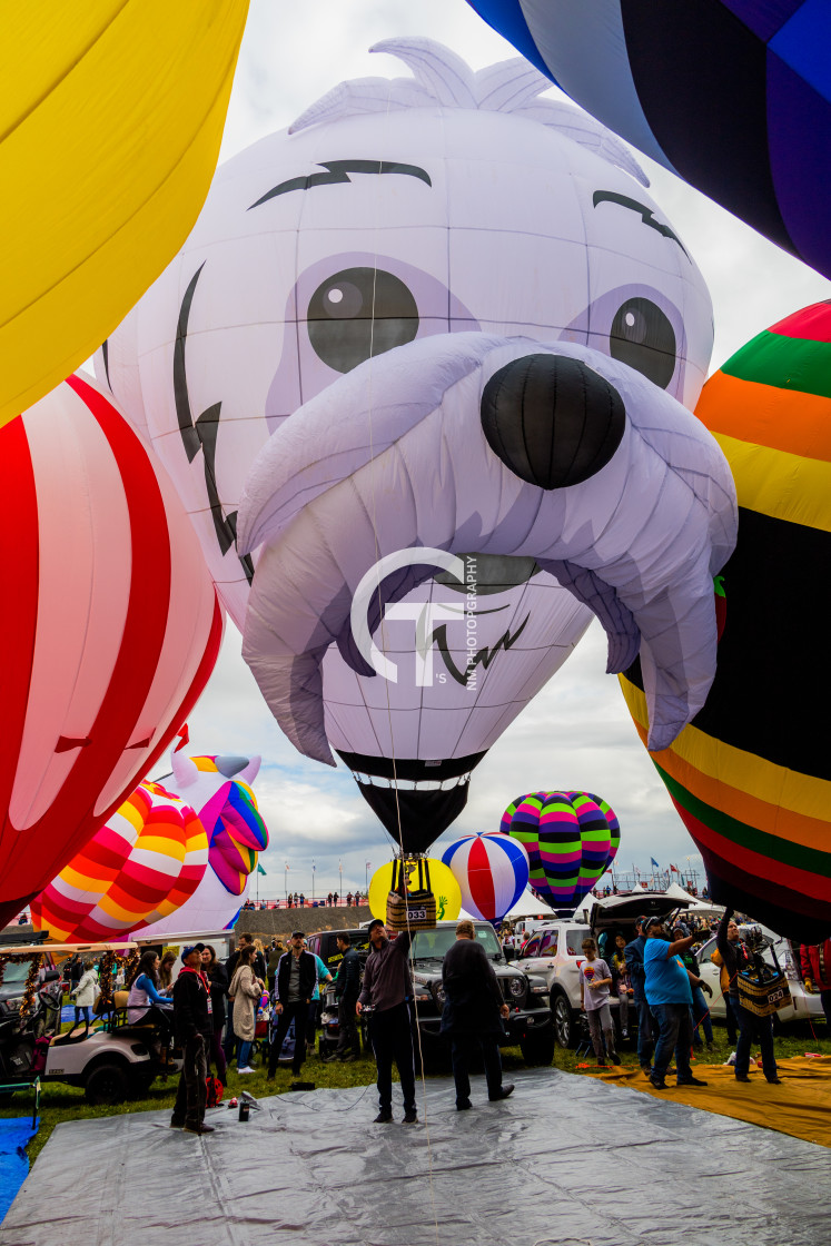 "2022 Balloon Fiesta #141" stock image