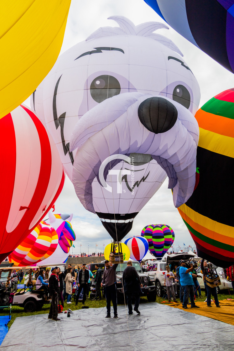 "2022 Balloon Fiesta #140" stock image