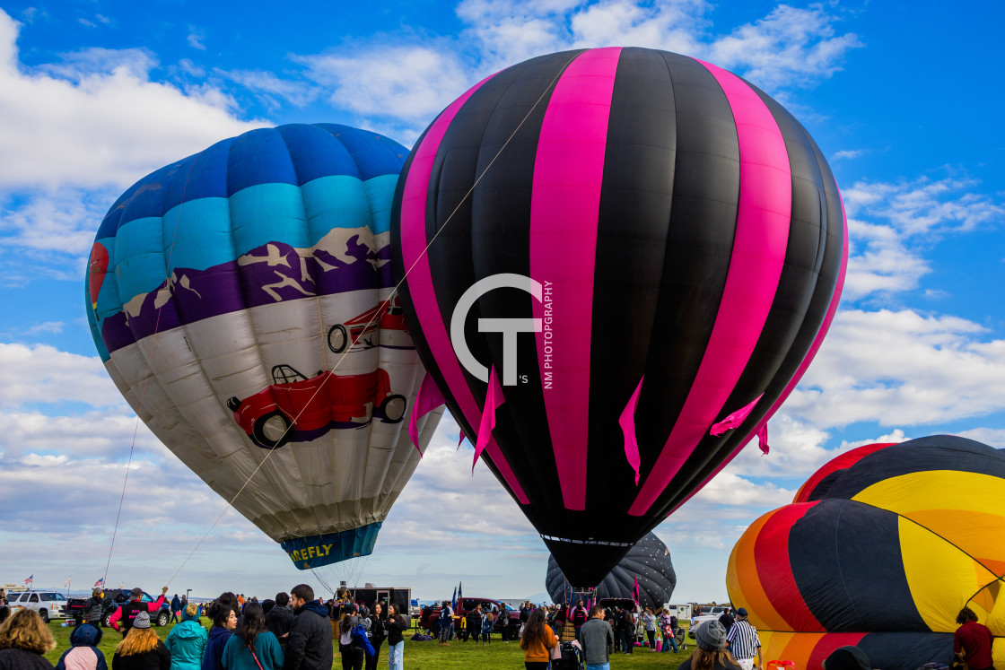 "2022 Balloon Fiesta #159" stock image