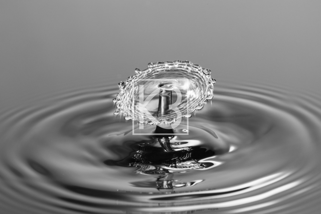 "Water drop Collision in black and white" stock image