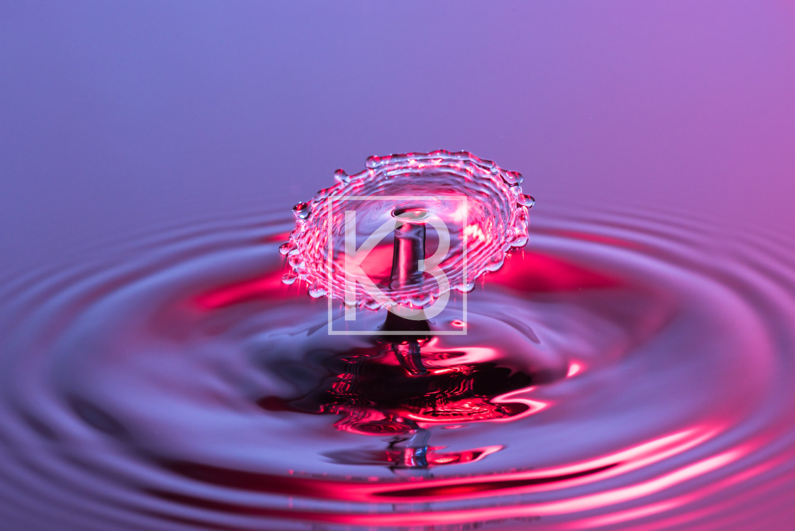 "Water drop Collision in purple and red" stock image