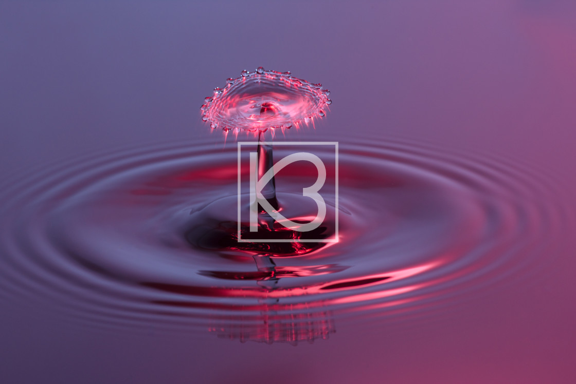 "Water drop - purple and red" stock image