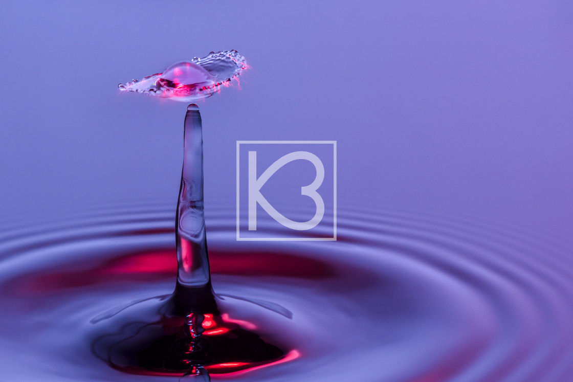 "Water drop - purple and red" stock image