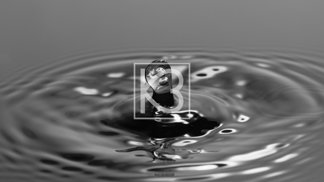 "Water drop in Black and White" stock image