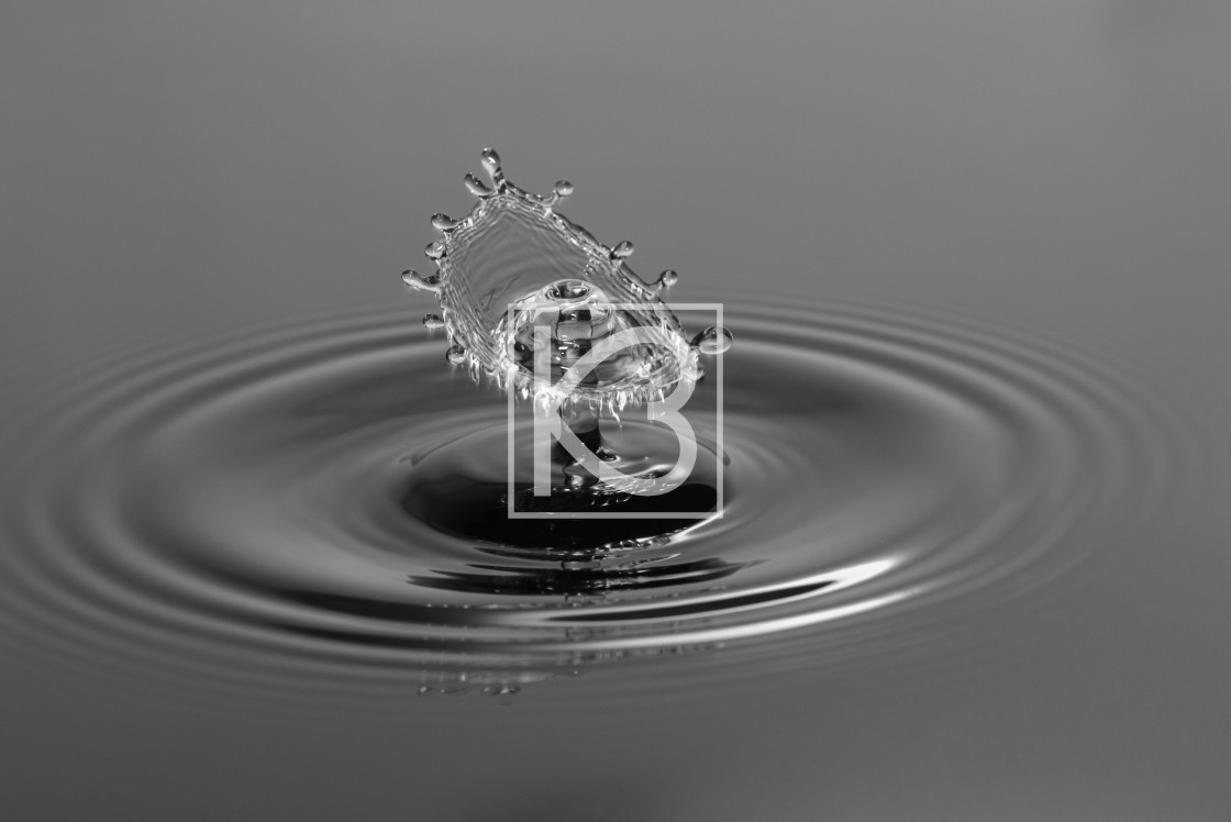"Water drop in Black and White" stock image