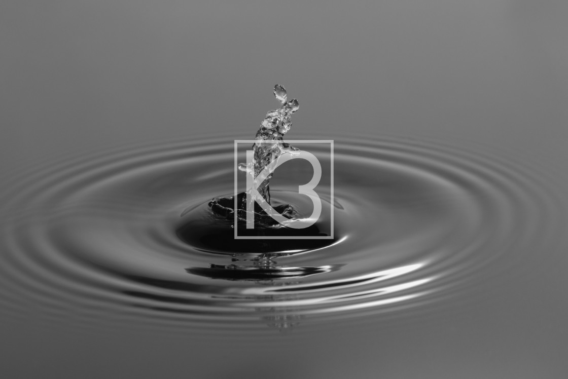 "Water drop in Black and White" stock image