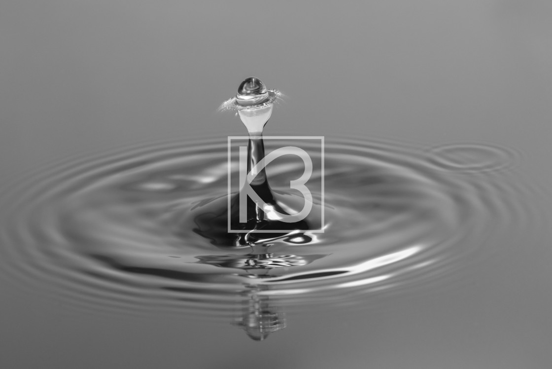 "Water drop in Black and White" stock image