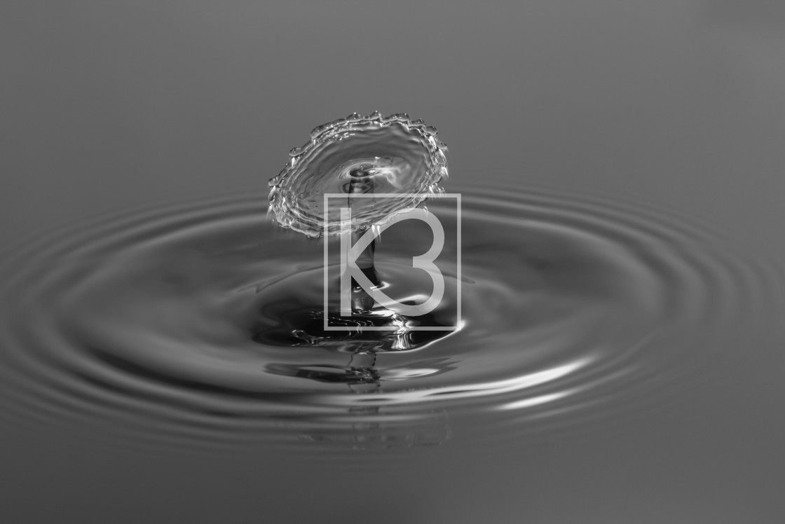 "Water drop in Black and White" stock image