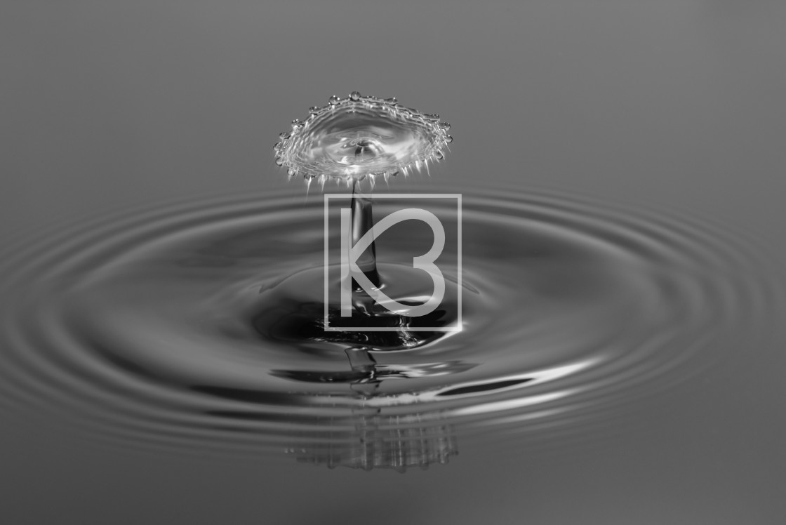 "Water drop in Black and White" stock image