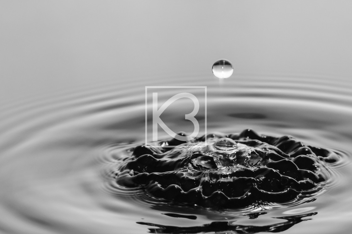 "Water drop in Black and White" stock image