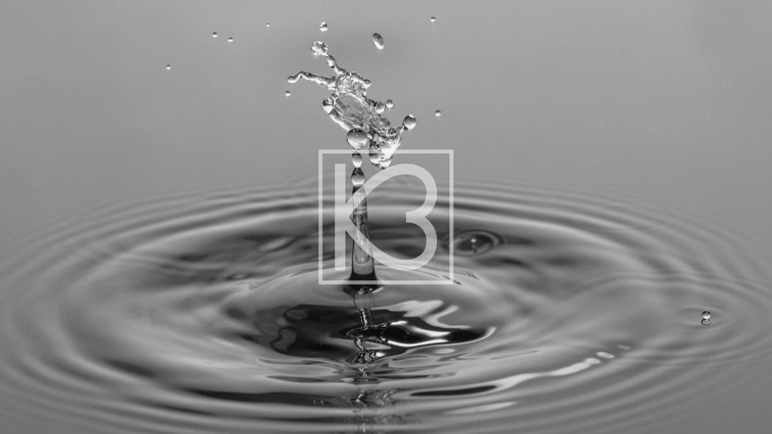 "Water drop in Black and White" stock image