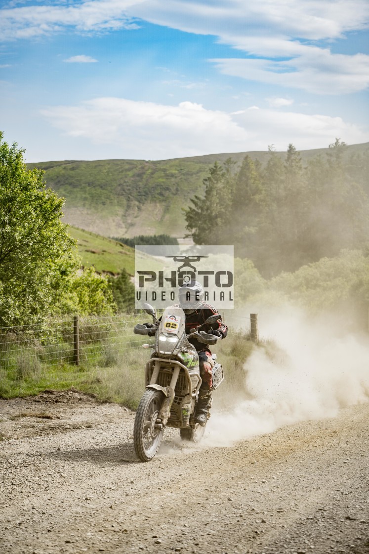 "Sweetlamb Baja 4th June" stock image