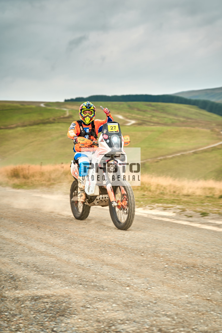 "Sweetlamb Baja rd3 sat" stock image