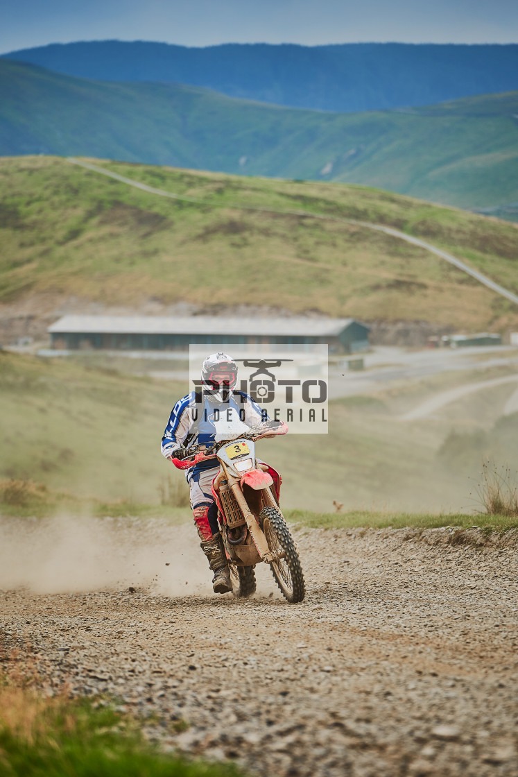 "Sweetlamb Baja rd3 sat" stock image