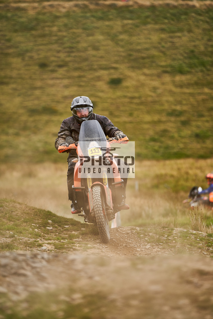 "Sweetlamb Baja rd3 sat" stock image