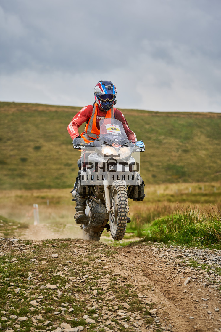 "Sweetlamb Baja rd3 sat" stock image