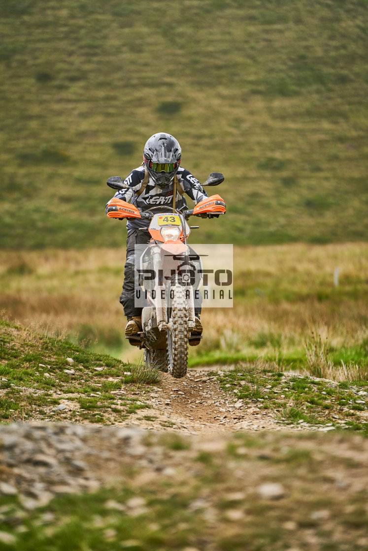 "Sweetlamb Baja rd3 sat" stock image