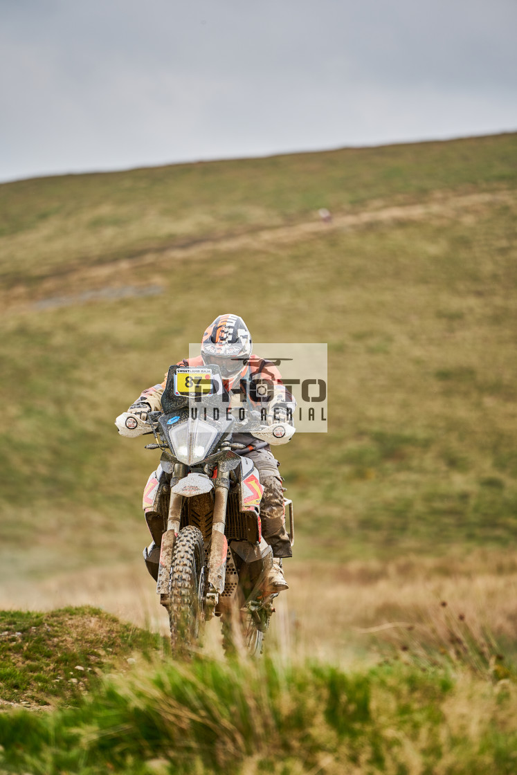 "Sweetlamb Baja rd3 sat" stock image