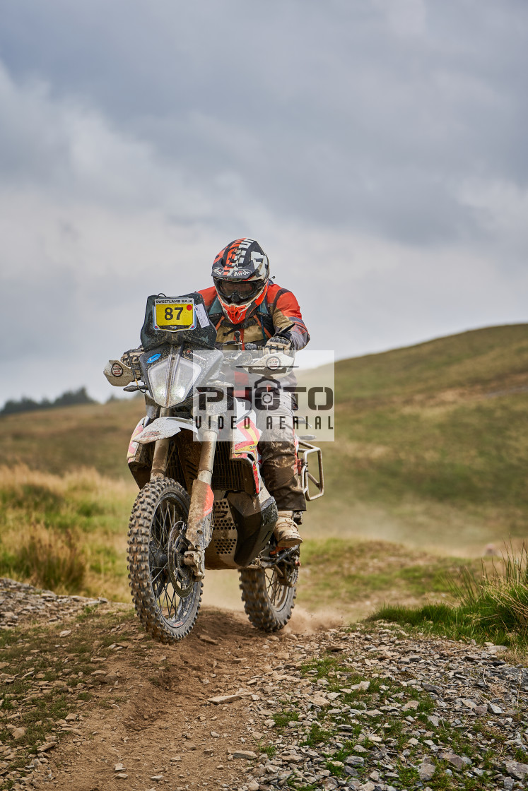 "Sweetlamb Baja rd3 sat" stock image