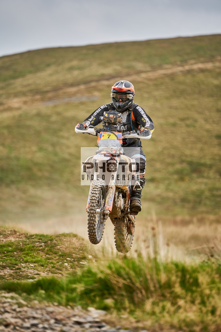 "Sweetlamb Baja rd3 sat" stock image