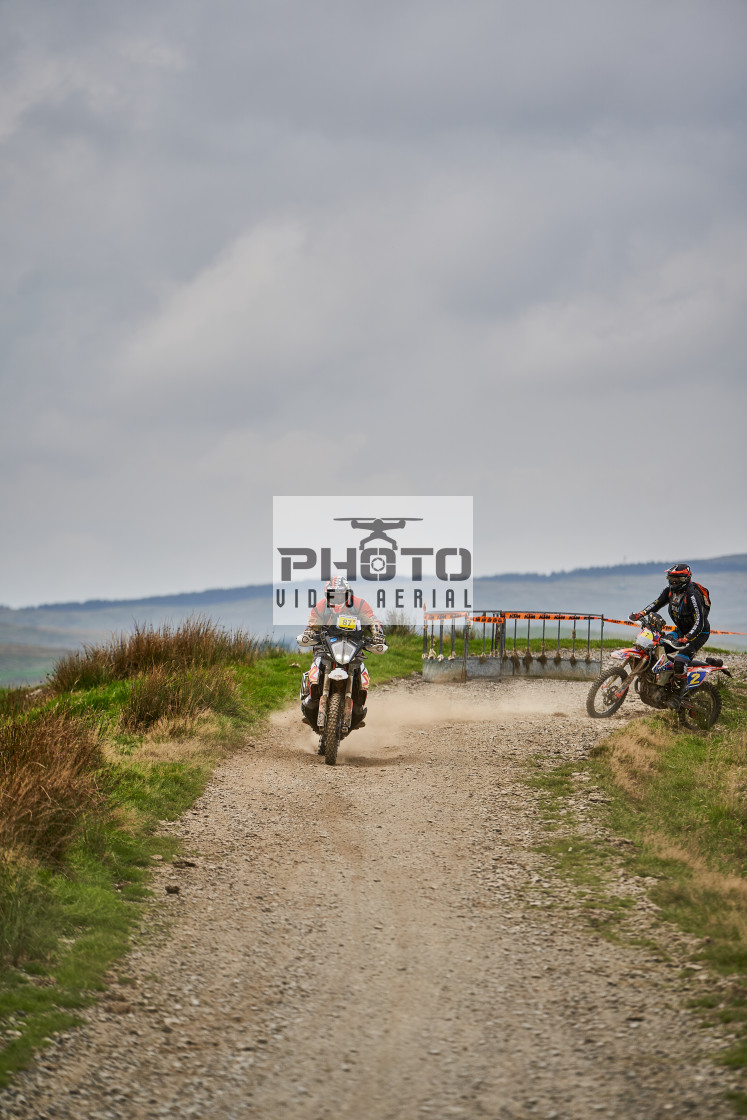 "Sweetlamb Baja rd3 sat" stock image