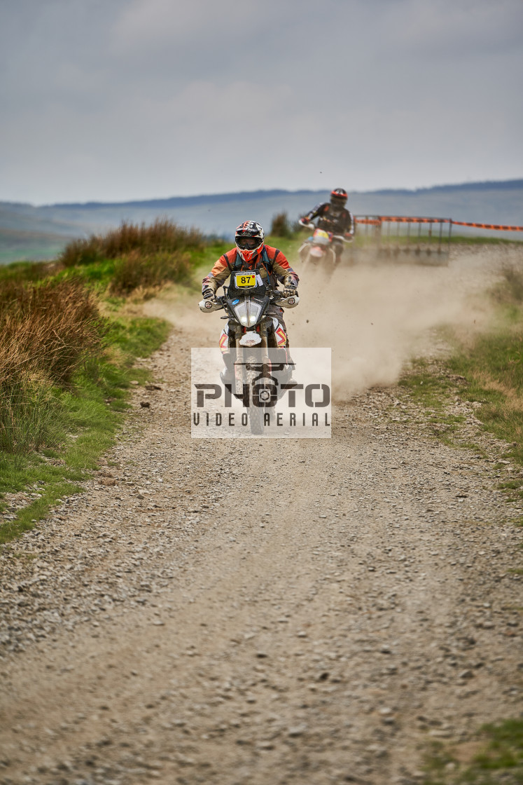 "Sweetlamb Baja rd3 sat" stock image