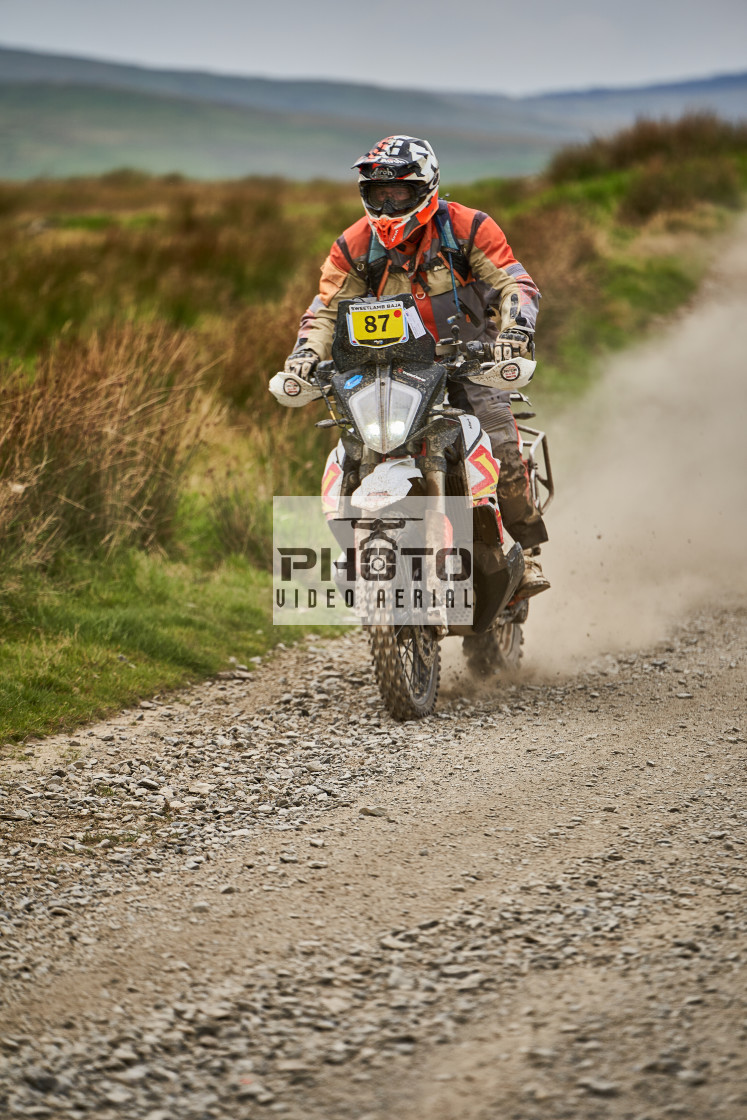 "Sweetlamb Baja rd3 sat" stock image