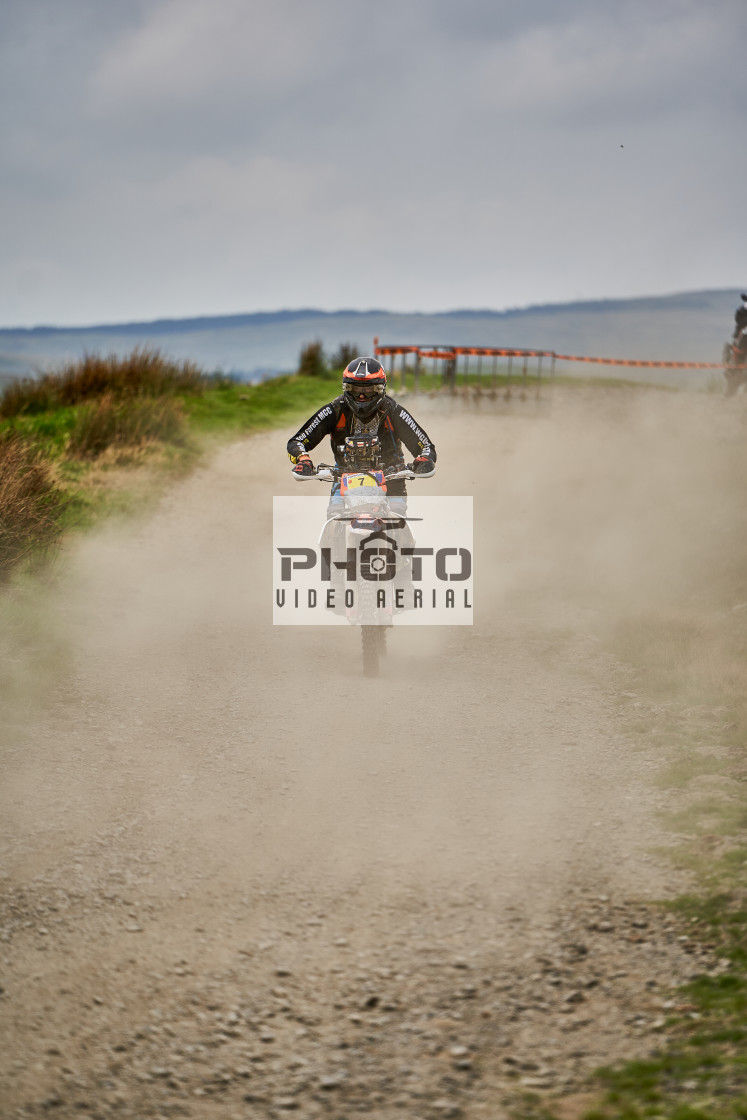 "Sweetlamb Baja rd3 sat" stock image