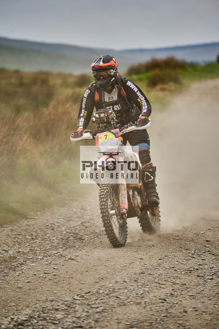 "Sweetlamb Baja rd3 sat" stock image