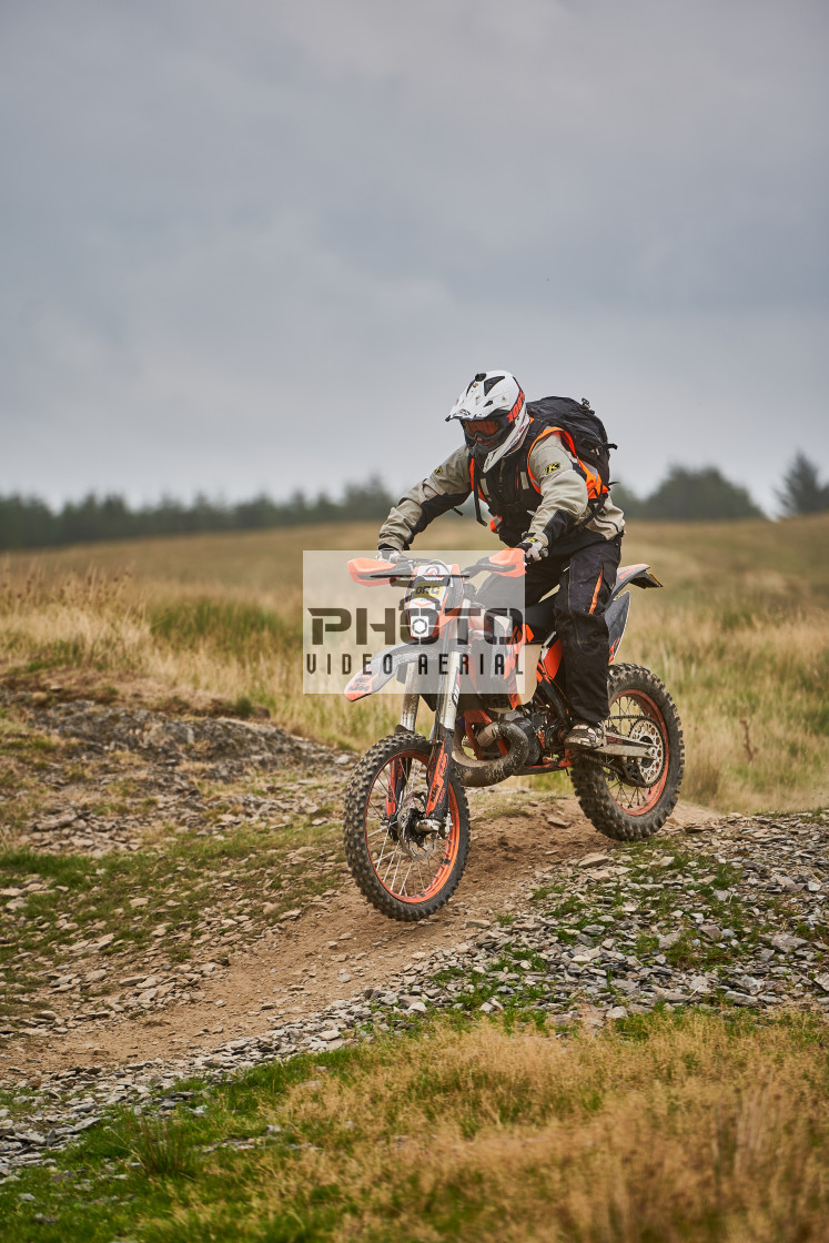 "Sweetlamb Baja rd3 sat" stock image