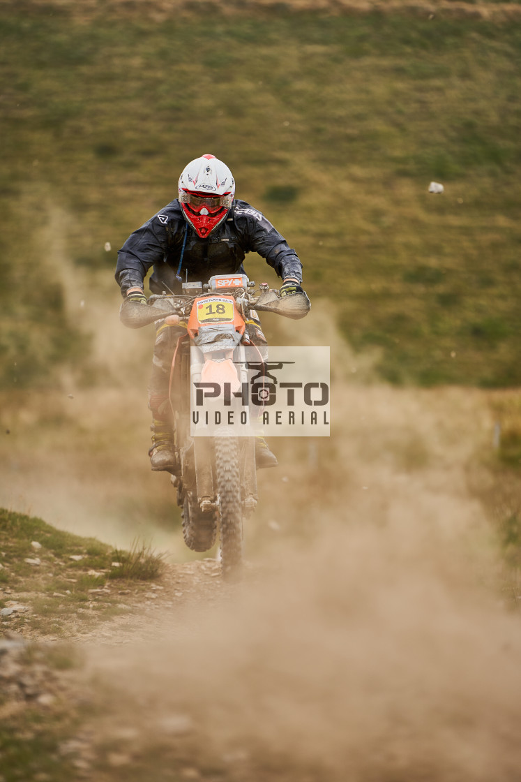 "Sweetlamb Baja rd3 sat" stock image