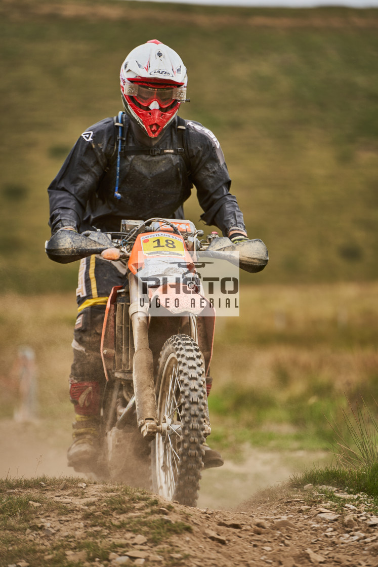 "Sweetlamb Baja rd3 sat" stock image