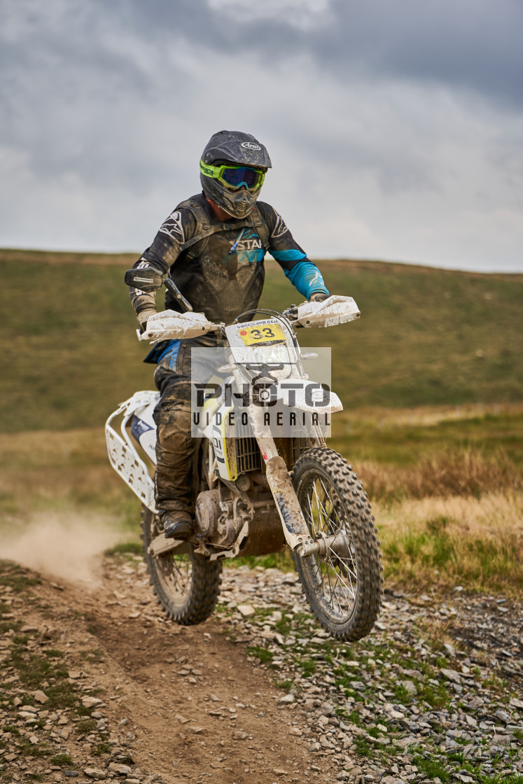 "Sweetlamb Baja rd3 sat" stock image