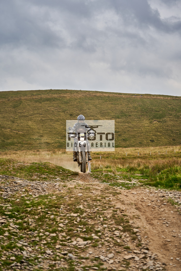 "Sweetlamb Baja rd3 sat" stock image