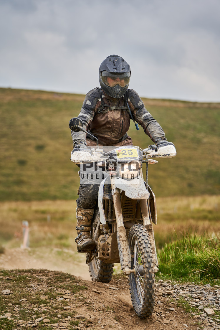 "Sweetlamb Baja rd3 sat" stock image