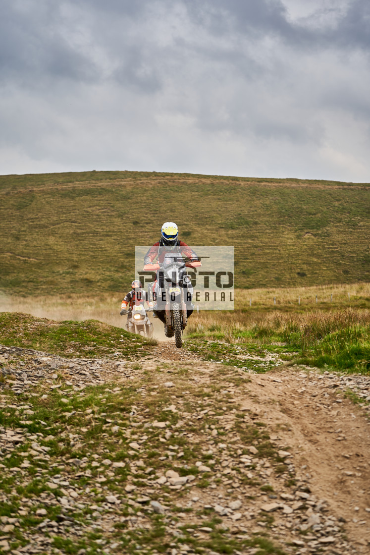 "Sweetlamb Baja rd3 sat" stock image