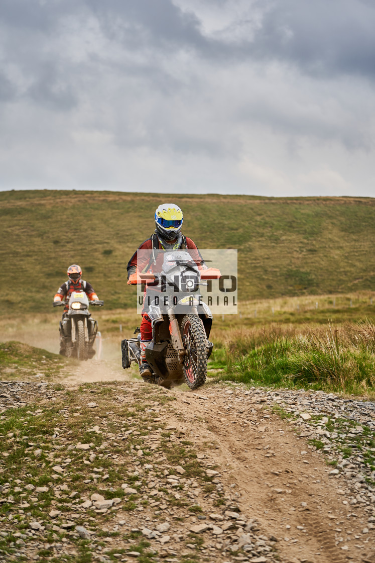 "Sweetlamb Baja rd3 sat" stock image