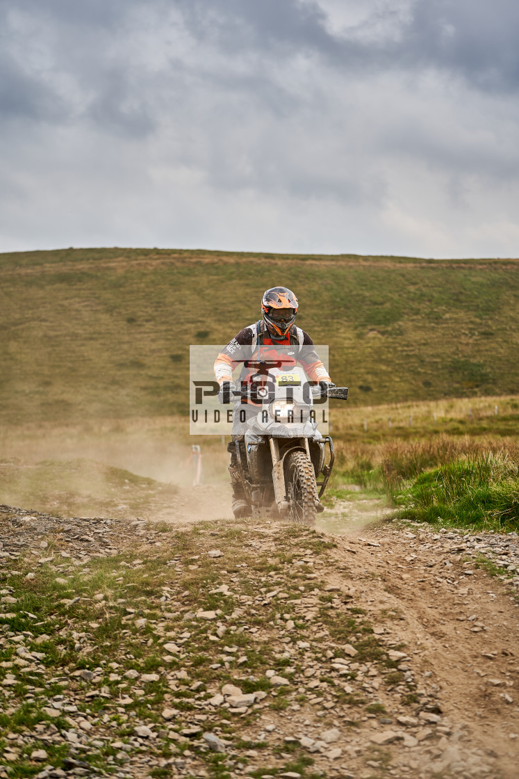 "Sweetlamb Baja rd3 sat" stock image