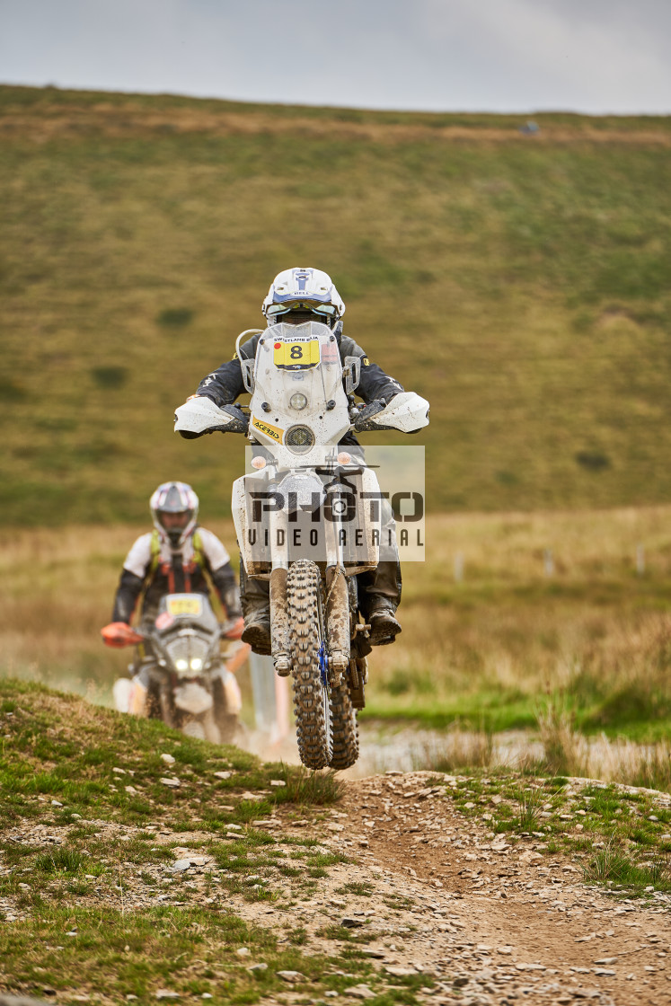 "Sweetlamb Baja rd3 sat" stock image