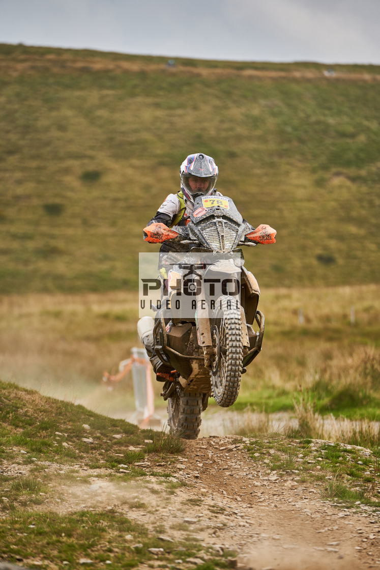 "Sweetlamb Baja rd3 sat" stock image