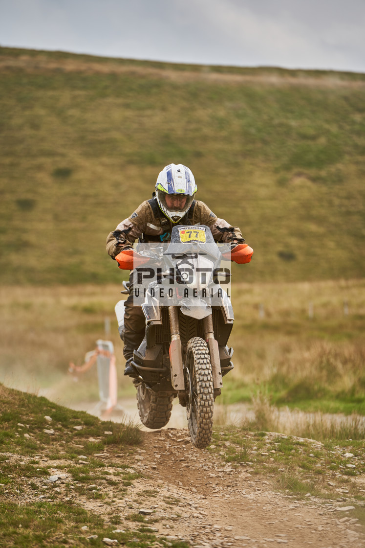 "Sweetlamb Baja rd3 sat" stock image