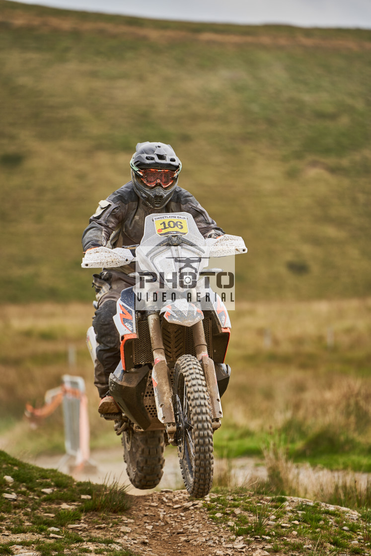 "Sweetlamb Baja rd3 sat" stock image