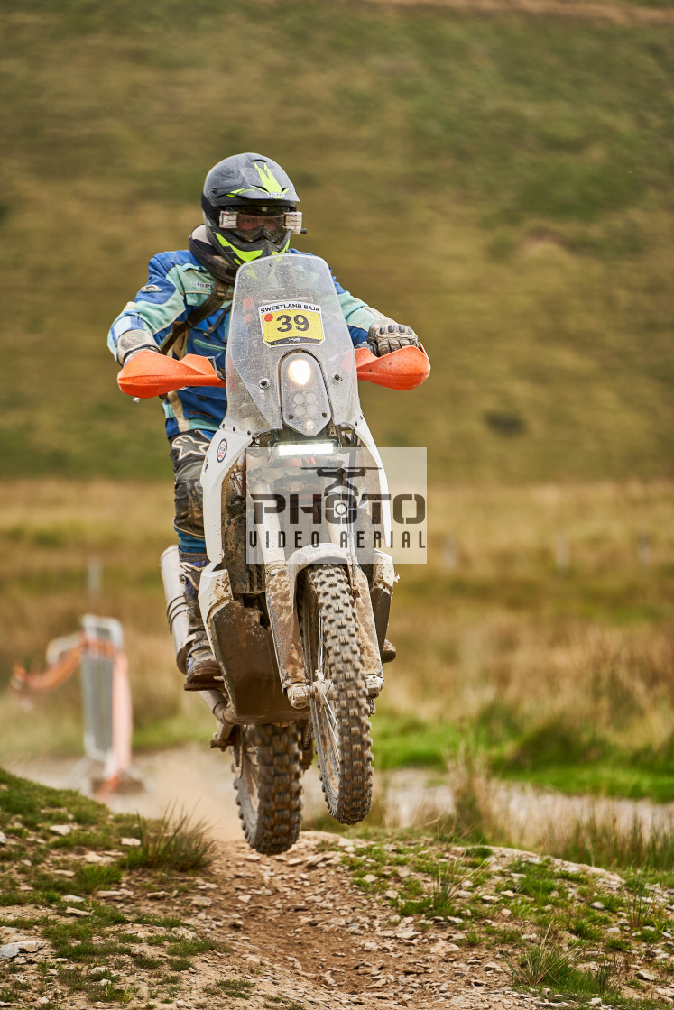 "Sweetlamb Baja rd3 sat" stock image