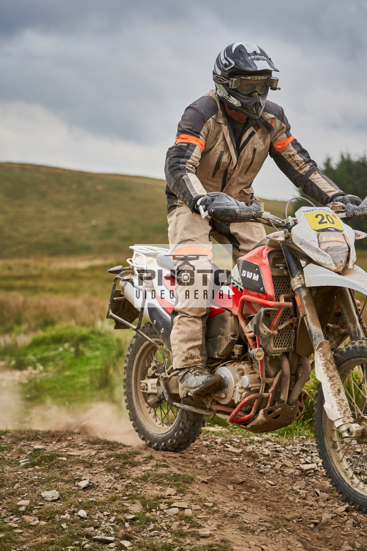 "Sweetlamb Baja rd3 sat" stock image