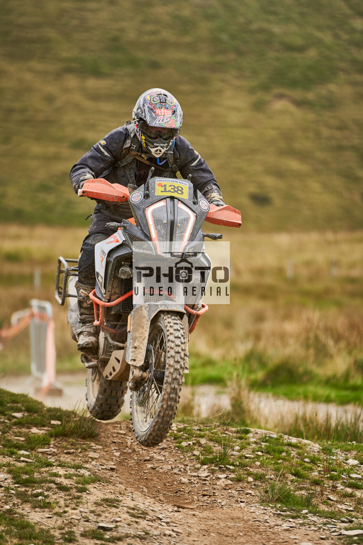 "Sweetlamb Baja rd3 sat" stock image