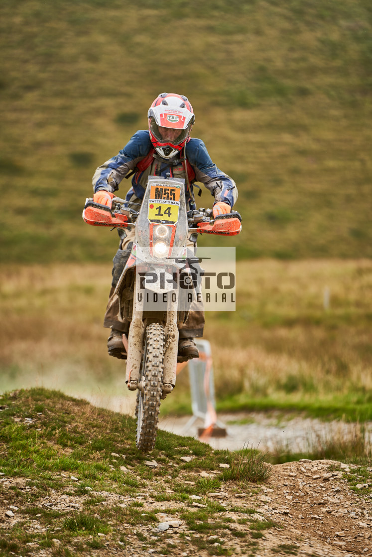 "Sweetlamb Baja rd3 sat" stock image